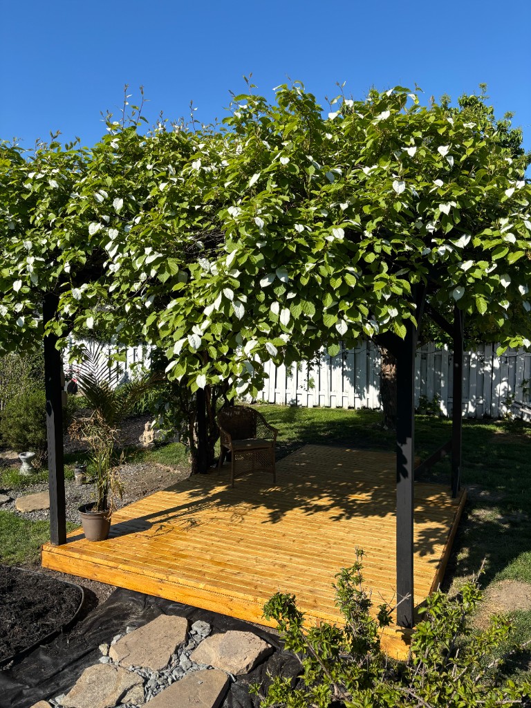 Réfection pergola & terrasse - Après